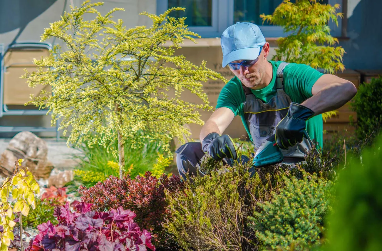 5201669c47f7ec7c909e9568c17c8a9d473bfc5c